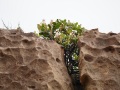202504_1Yehliu-Geopark-115
