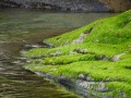 202504_1Yehliu-Geopark-132