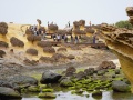 202504_1Yehliu-Geopark-135