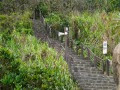 202504_1Yehliu-Geopark-156