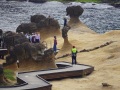 202504_1Yehliu-Geopark-167