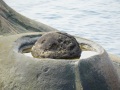202504_1Yehliu-Geopark-179