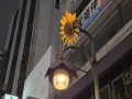202504_6YizhongMarket-024