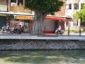 202503_KaohsiungLotusteich-056