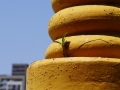 202503_KaohsiungLotusteich-067